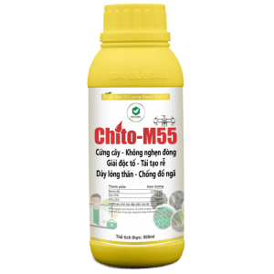CHITO M55