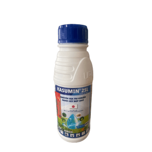KASUMIN 2SL