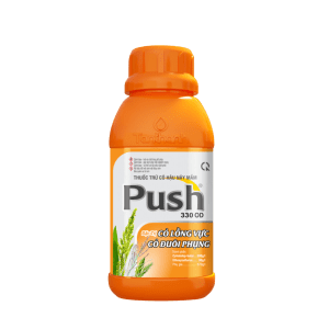 PUSH 330OD