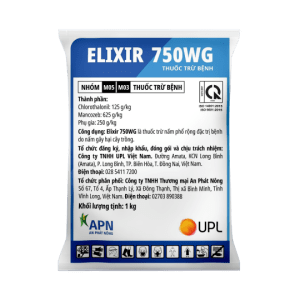 trị nấm vàng lá